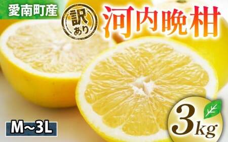 訳あり 河内晩柑 愛南ゴールド 3kg 河内晩柑 清家bv
