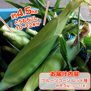 【2026年先行予約 / 数量限定 とうもろこし】 フルーツコーン レッド種 10～12本 とうもろこし