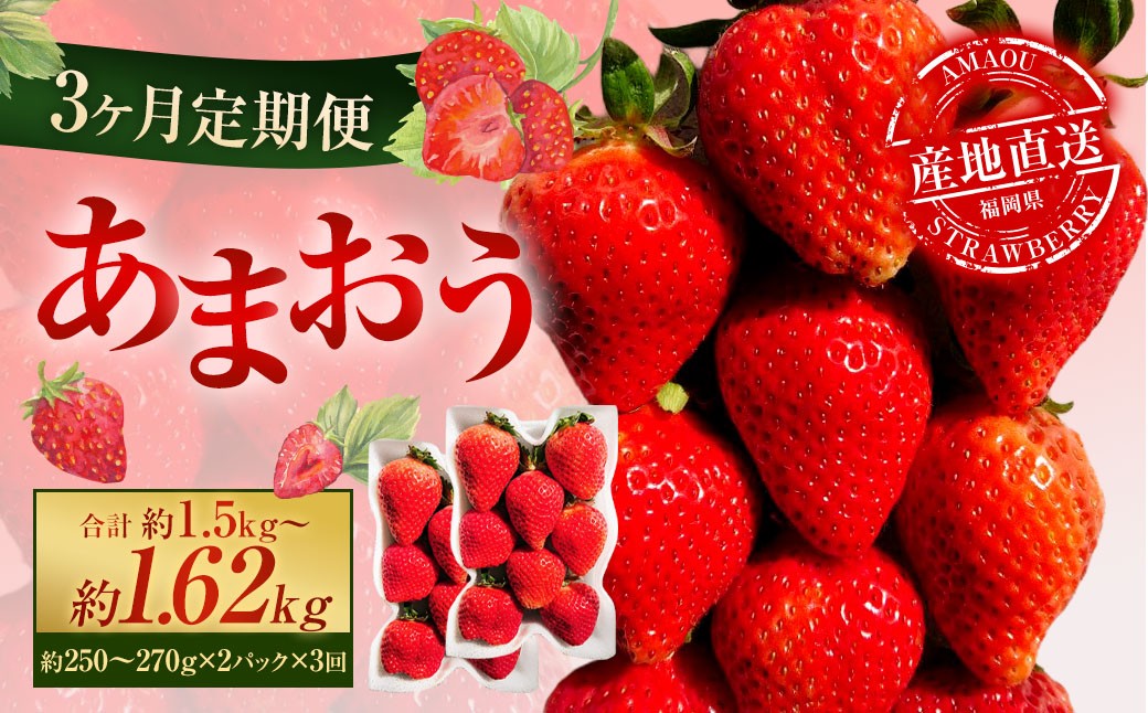 
                  【3ヶ月定期便】 あまおう 2パック×3回 （計6パック） 【2027年2月上旬～4月下旬発送予定】 いちご イチゴ 果物 果実 フルーツ 福岡県 太宰府市 冷蔵
                
