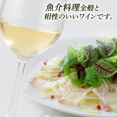 ふるさと納税 糸島市 【糸島マスエワイナリ】STILL白Koshu Muscut 2本 糸島市[AEP002] |  | 01