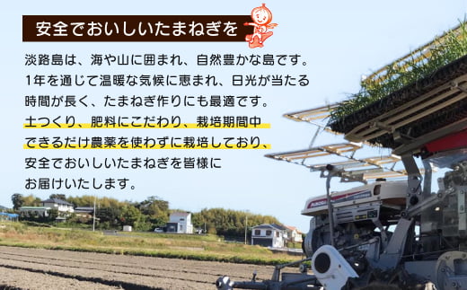 【訳あり】小さな淡路島たまねぎ 2Sサイズ 10kg　 [玉ねぎ 玉ねぎ 玉ねぎ 玉ねぎ 玉ねぎ 訳あり 訳あり 訳あり]