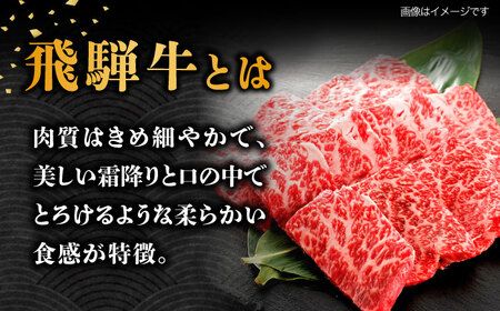 【6月発送】飛騨牛 ロース・肩ロース 1kg A5等級 [TAZ034-6]