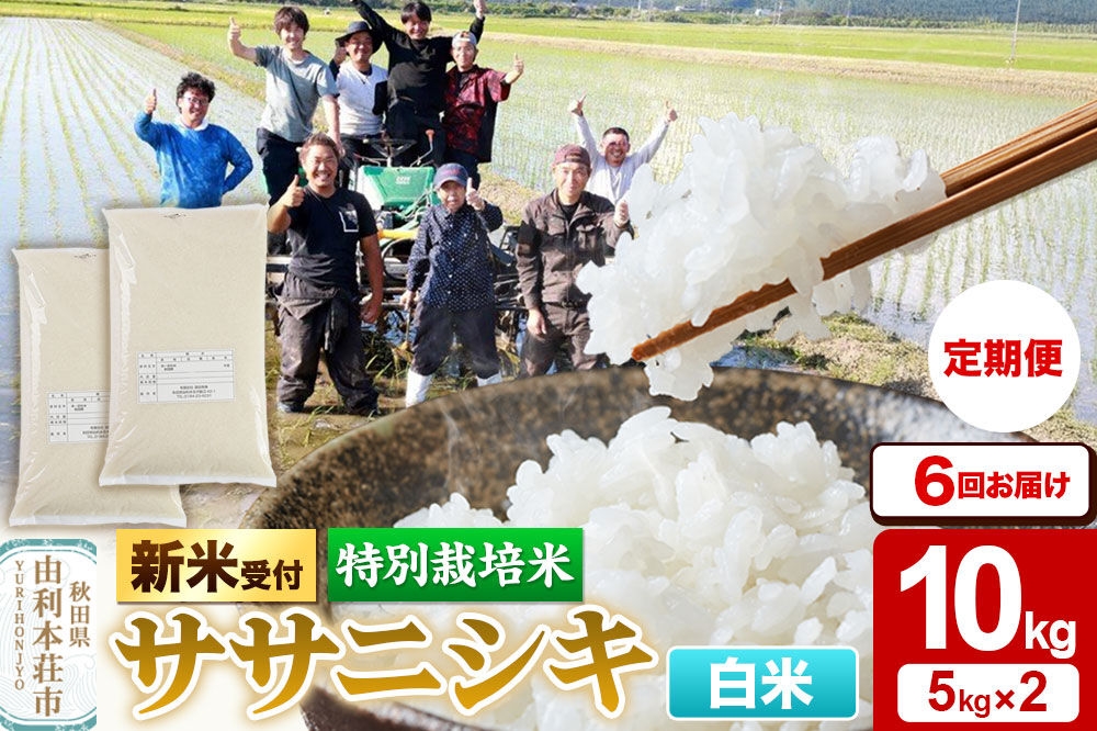 
                  《令和8年産 新米受付》《定期便6ヶ月》【白米】特別栽培米 ササニシキ 10kg（5kg×2袋） 秋田県産 [ササニシキ 新米予約 先行予約 米 お米 こめ 白米 精米 ブランド米 食卓 おにぎり 秋田県産 秋田]
                