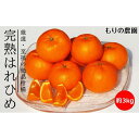 【ふるさと納税】厳選！はれひめ「みかんの甘み」と「オレンジの香り」の新品種！（約3kg）フルーツ お取り寄せ 産地直送 ドルチェみかん もりの農園 | フルーツ 果物 くだもの 食品 人気 おすすめ 送料無料