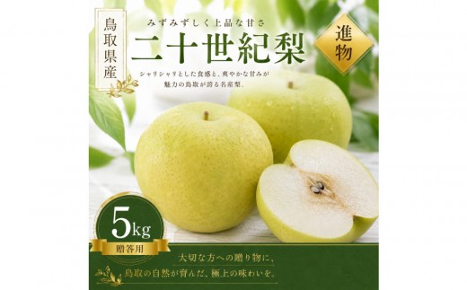 有梨の実石田 二十世紀梨 (ギフト用)5kg【8月下旬以降お届け】
