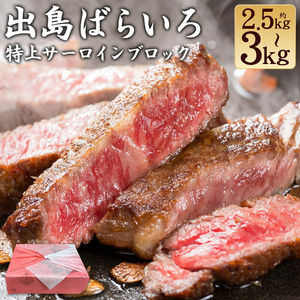 【ふるさと納税】出島ばらいろサーロイン 約2.5kg~約3kg 長崎和牛 牛肉 お肉 ブロック 霜降り 自家製焼肉のたれ タレ 木箱入り 冷凍 長崎県産 国産 九州 長崎県 長崎市 送料無料