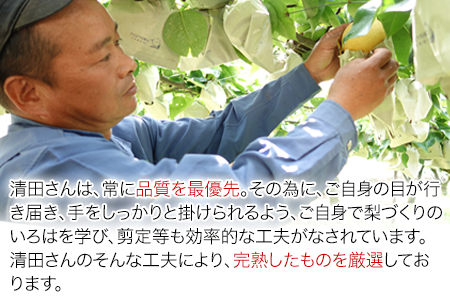 【日付指定不可】『清田果樹園』の原倉梨 期間限定 予約受付中 たっぷり約5kg 6-14玉前後《9月上旬-10月上旬頃出荷》 果汁あふれるシャキシャキ食感！新高梨 新興梨 あきづき 豊水梨 熊本県玉名