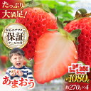 【ふるさと納税】【2月以降順次発送】先行予約！いちご あまおう 約270g×4パック 那珂川市 いちご 苺 フルーツ くだもの 果物 あまおう 九州産 苺 国産[GBR001]13000 13000円