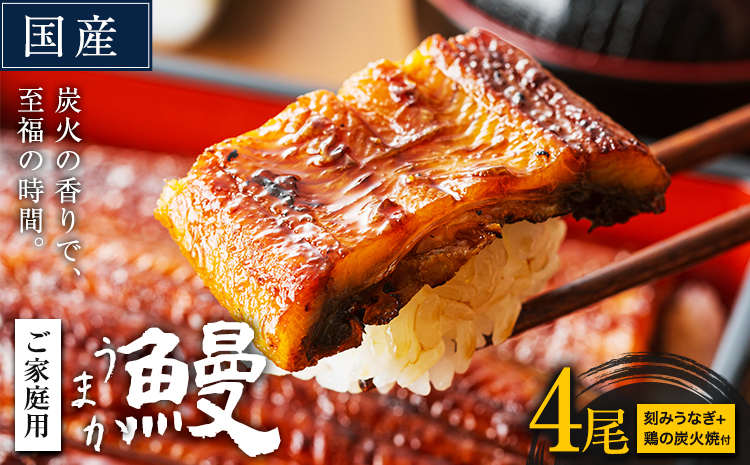 うなぎ ご家庭用 4尾 (刻みうなぎ2袋＆鶏の炭火焼1袋付き) 国産 鰻 真空パック おすすめ うなぎの蒲焼 《30日以内に出荷予定(土日祝除く)》 有頭 鶏炭火焼 訳あり 簡易包装 不揃い ウナギ unagi 蒲焼 秋 冬 旬 配送時期 冷凍---mifune_lcl_74_4p---