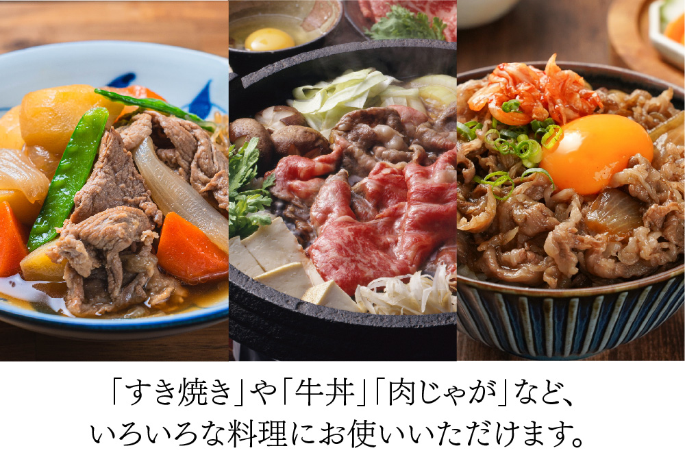 佐賀牛 贅沢 切り落とし 1.5kg(500g×3)【A4～A5ランク】【すき焼き しゃぶしゃぶ 牛丼 A5 A4 希少 国産和牛 牛肉 肉 牛】(H085209)