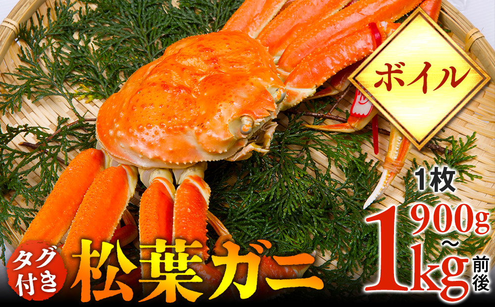 663.【ボイル】タグ付き松葉ガニ　特大1枚（900g～1kg前後）【着日指定不可】※2026年11月上旬～2027年3月下旬頃に順次発送予定《かに カニ 蟹》