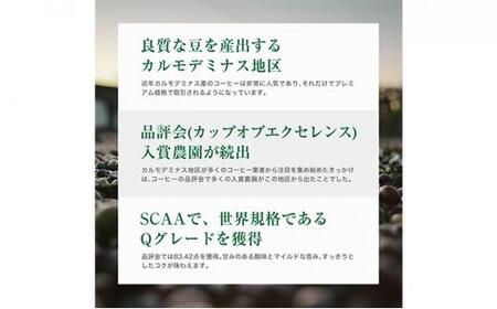 珈琲 スペシャルティーコーヒー豆【豆のまま】ブラジル カルモデミナス Qグレード 600g