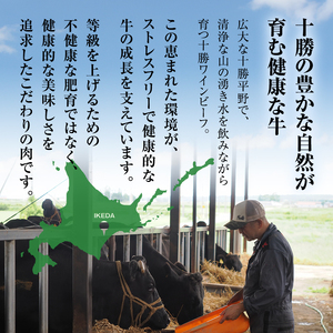 黒毛和牛 ローストビーフ 600g ブランド牛 十勝ワインビーフ 国産 北海道牛 冷凍 小分け
