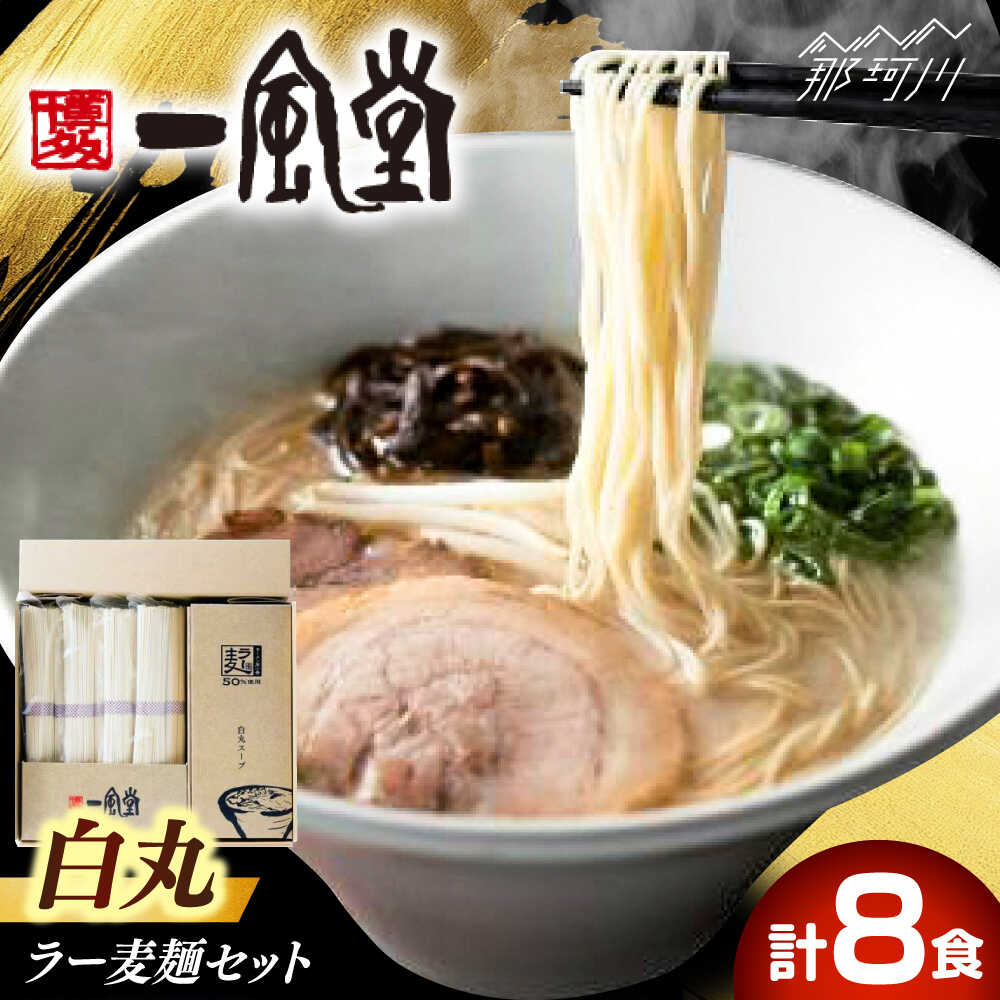 【ふるさと納税】「一風堂」白丸 ラー麦麺セット 合計8食分セット / 一風堂 那珂川市 | 博多 豚骨ラーメン とんこつ セット 福岡 ラーメン 名店 [GCL047] 10000 10000円 1万円