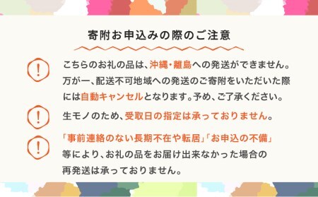 もも 桃 品種おまかせ 約1.4kg 令和6年産 2024年産 山形県産 果物 mm-moomx1400 ※沖縄・離島への配送不可