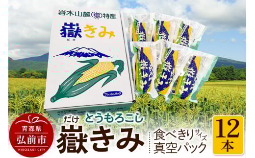とうもろこし 嶽きみ真空パック家庭用　食べきりサイズ×12本