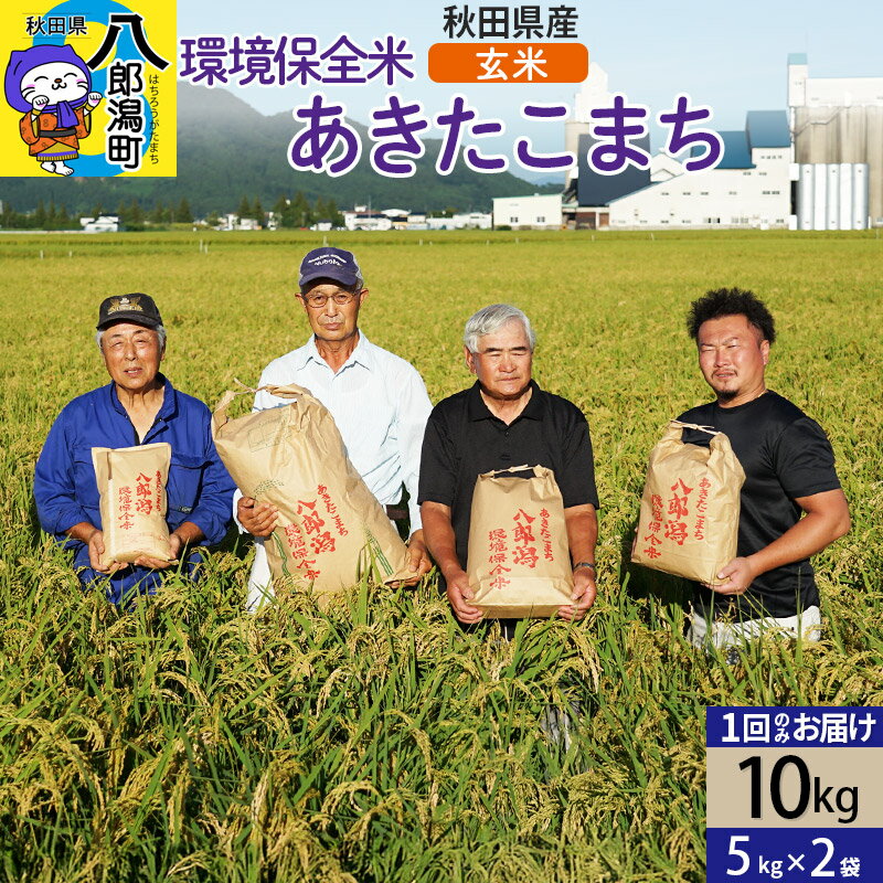 【ふるさと納税】【玄米】令和7年産 秋田県産 あきたこまち 環境保全米 10kg (5kg×2袋)