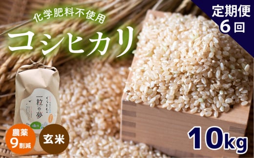 【定期便6回】農薬9割減・化学肥料不使用 コシヒカリ(玄米) 10kg×6(1ヵ月毎×6回) 令和6年産 米 (2025年3月以降の発送予定)｜ 有機農産物認証推進協会認定 精米 お米 米 こしひかり 農薬減 美祢市 山口県 秋芳 カルスト台地 湧き水 ミネラル 結び家 くらとも