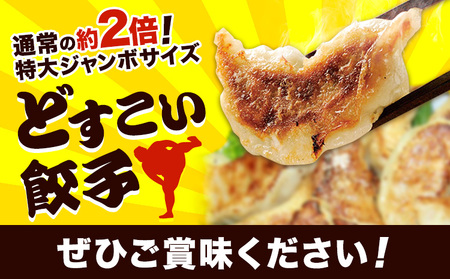 餃子 どすこい餃子 冷凍 15個 浜あげ吉田屋 《30日以内に出荷予定(土日祝除く)》千葉県 流山市 ぎょうざ ギョウザ 冷凍ぎょうざ 通常の約2倍 サイズ ジャンボ餃子 特大 元力士 が作った 惣菜