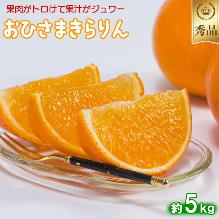 12月発送開始 おひさまきらりん 秀品 約5kg 【今村農園】 果物 みかん 期間限定 数量限定 九州 大分県 ＜107-025＞