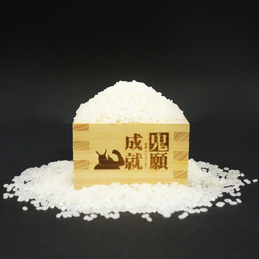 【定期便】鬼北のお米「鬼米（おにまい）」3kg×1袋 3ヶ月連続お届け＜米 コメ お米 こしひかり  定期便 ブランド米 精米 愛媛県 鬼北町＞