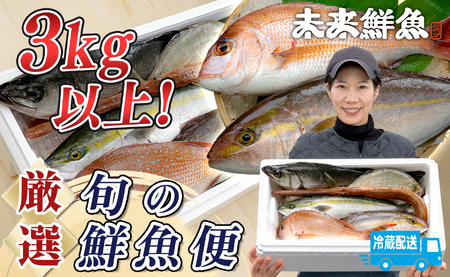 鮮魚 3kg- 鮮魚ボックス 詰め合わせ 刺身 刺し身 さしみ 鮮度抜群 産地直送 高知県産