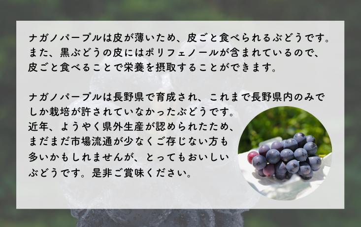長野県オリジナル品種！甘くてポリフェノールたっぷりのぶどうをお届けします。
