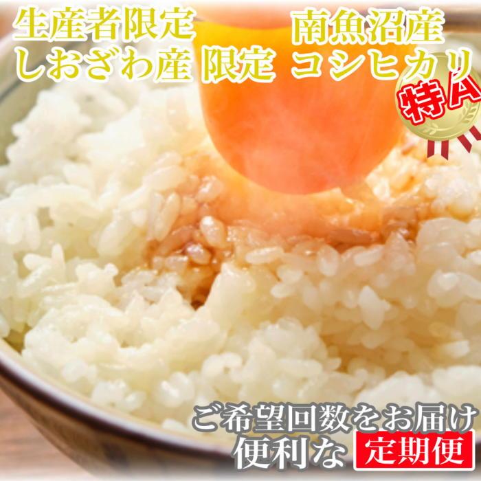 【令和7年産】【定期便6kg×6ヶ月】しおざわ産限定 生産者限定 南魚沼産コシヒカリ【2025年10月上旬より順次発送予定】