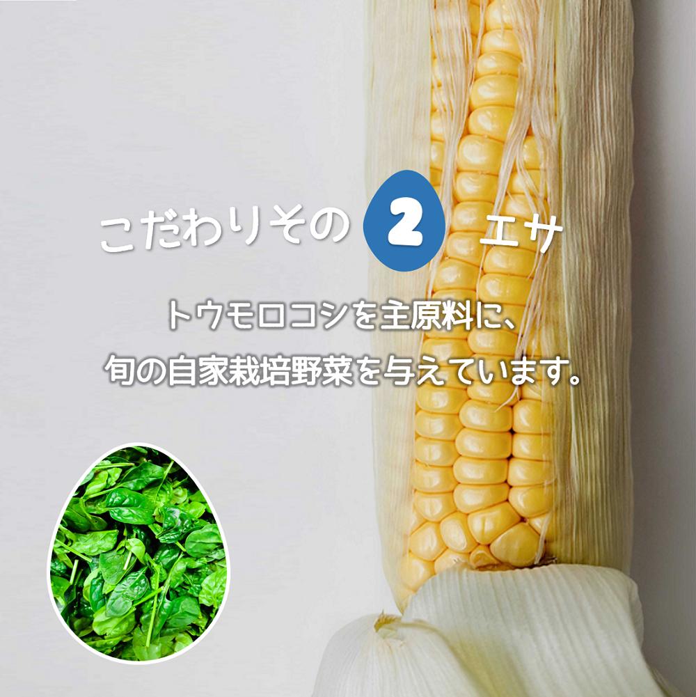 たかはしさんの新鮮たまご30個_イメージ3