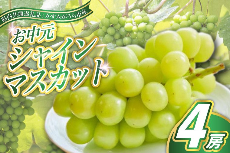 
            ＜2025年8月より順次発送予定＞お中元　シャインマスカット4房(県内共通返礼品:かすみがうら市産) (BR113)
          