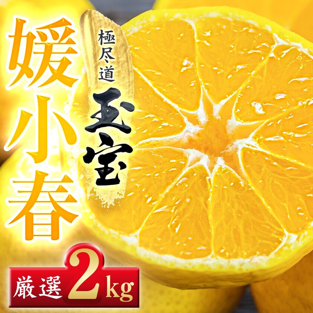 
                  ＜愛媛名産＞玉宝媛小春(ひめこはる)　2kg＜D64-85＞【1623968】 YWTY074
                