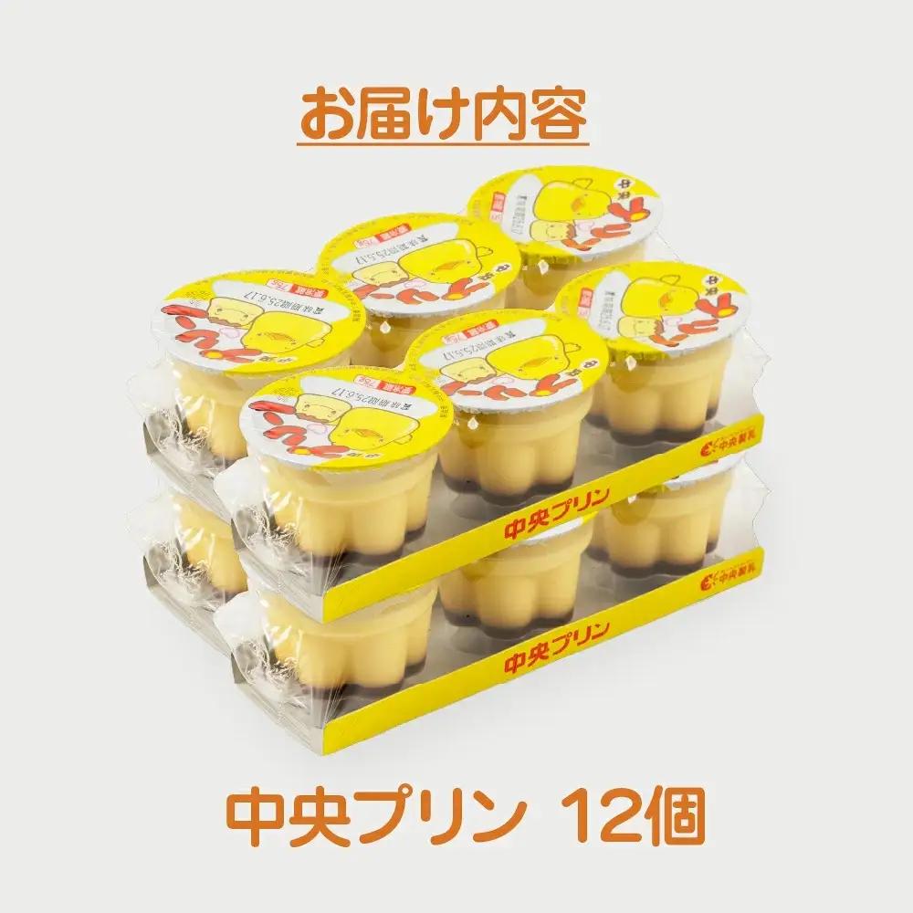 プリン3p 6個セット プリン 中央製乳