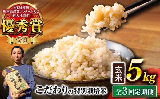 【先行予約】 【令和7年度】 【全3回定期便】 くまさんの輝き 玄米 5kg 計15kg（2025年10月下旬ごろ順次発送）【坂本農園】 [AYCC023]