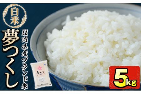 ＜令和6年産＞福岡県産ブランド米「夢つくし」白米(5kg)お米 白米 5キロ ごはん ご飯【ksg0370】【朝ごはん本舗】