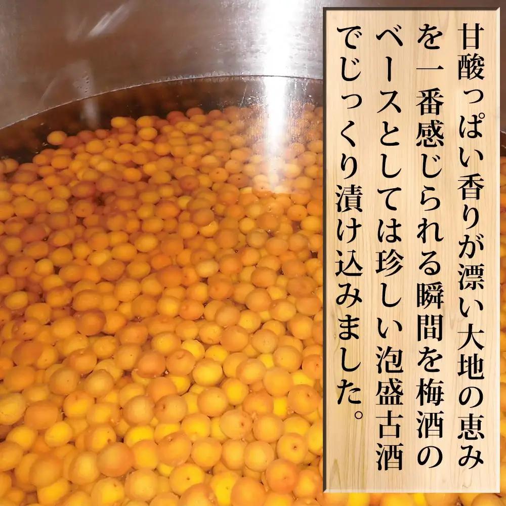 紀州南高梅本格梅酒 MORIKAWA 720ml  mrkwnou001A【mrkwnou001A】