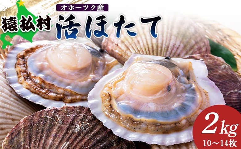 「活ほたて」２ｋｇ（10～14枚）　オホーツク産【1601001】
