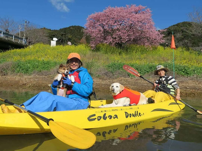 愛犬と一緒にシーカヤック 湊カフェ＆Pirates 施設利用券〈15,000円分〉　【 カヤック カヤック カヤック カヤック カヤック 犬 犬 犬 】