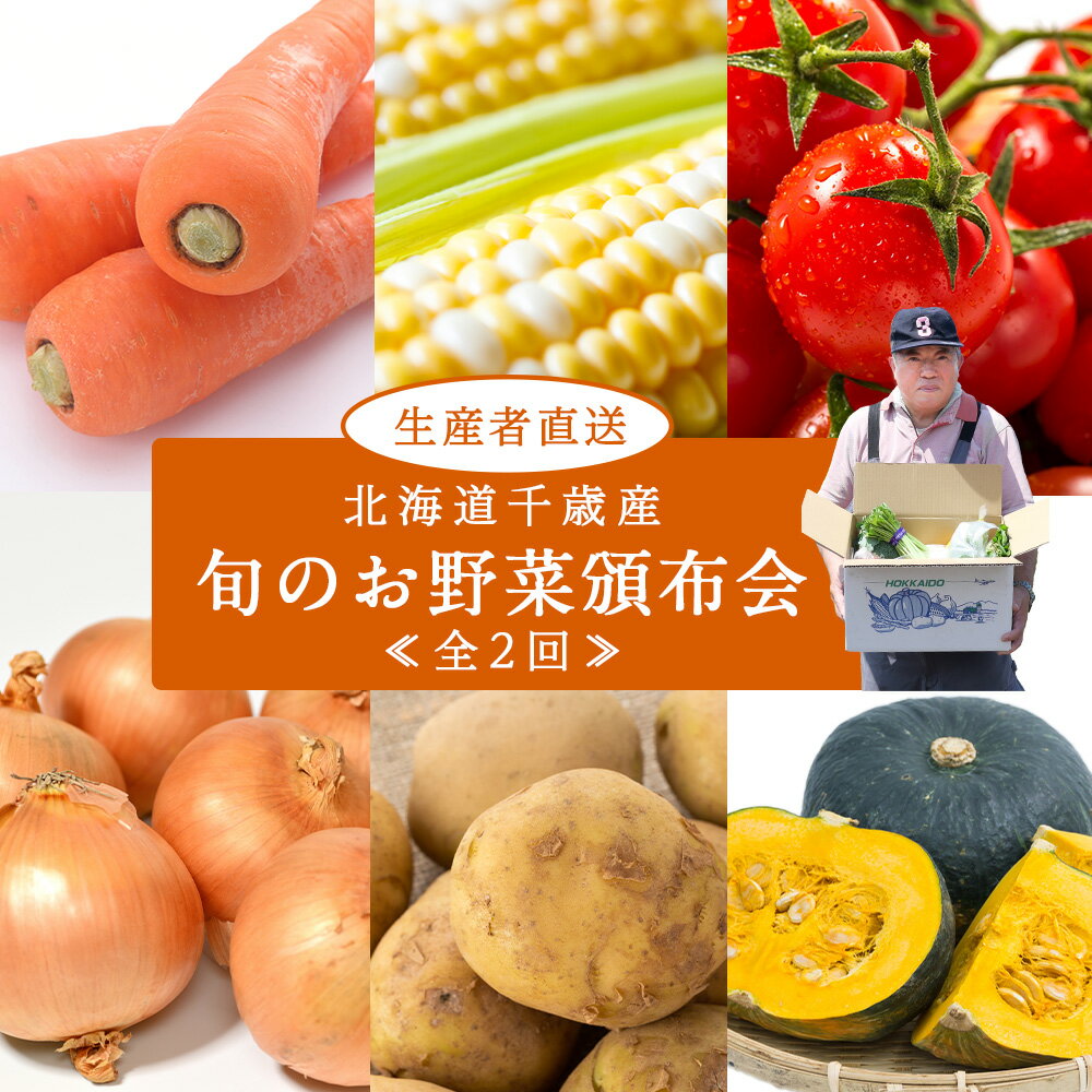 【ふるさと納税】【2026年発送予約】定期便2回 旬の野菜を「年2回」お届け《土居ファーム》 とうもろこし キャベツ トマト 人参 じゃがいも カボチャ 玉ねぎ にんにく 人参 豆 鷹の爪 ヤーコン 旬 千歳 北海道 北海道ふるさと納税 【北海道千歳市】ギフト ふるさと納税