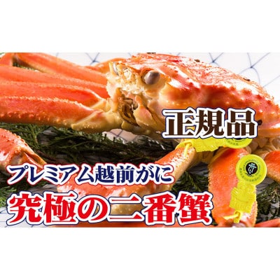 二番蟹　上質のプレミアム越前がに 1杯 ≪生≫【2・3月発送分】【配送不可地域：離島・北海道・沖縄・四国・九州】【1374279】