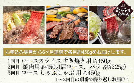 牛肉 定期便 6ヶ月 おかやま 和牛 肉 A4等級以上 食べ比べ 毎月 約450g×6回 赤身 肉 牛肉