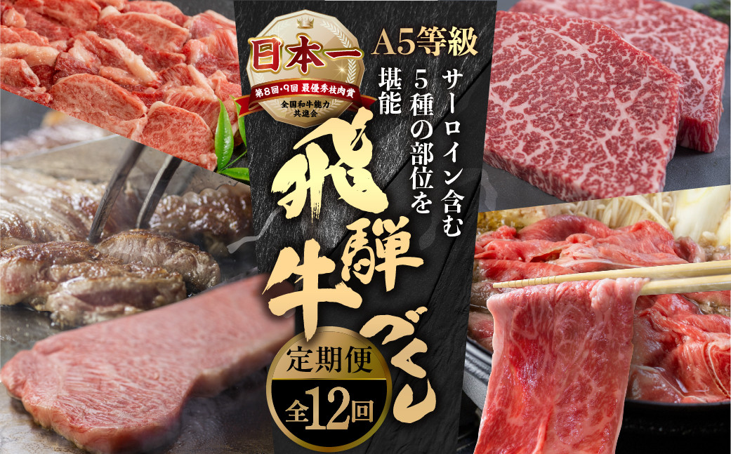 
            【定期便】A5 飛騨牛 12回 定期便 計 6.5kg 12ヶ月 食べ比べ 1年 年間 牛肉 肉 和牛 国産牛 黒毛和牛 焼肉 すき焼き しゃぶしゃぶ ステーキ 赤身 霜降り サーロイン お楽しみ トキノ屋食品  本巣市 定期便 肉 お楽しみ 定期便 牛肉  [mt669] 
          