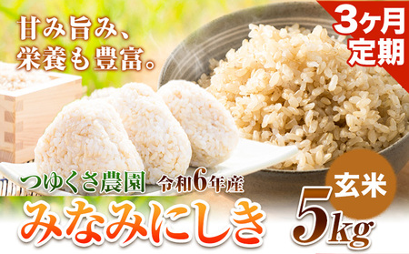 米 【3ヶ月定期便】令和5年産 みなみにしき 玄米 5kg 熊本県 荒尾市産 米 玄米 定期 つゆくさ農園 《お申込み月の翌月から出荷開始》