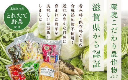 近江農産の東近江漬物詰め合わせ　合計1.1kg　O-I04　農事組合法人近江農産組合 東近江