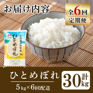 【令和8年産】＜6か月定期便＞特別栽培米 ひとめぼれ 5kg×6回(合計30kg) お米 おこめ 米 コメ 白米 ご飯 ごはん おにぎり お弁当 頒布会【農事組合法人若木の里】ta541