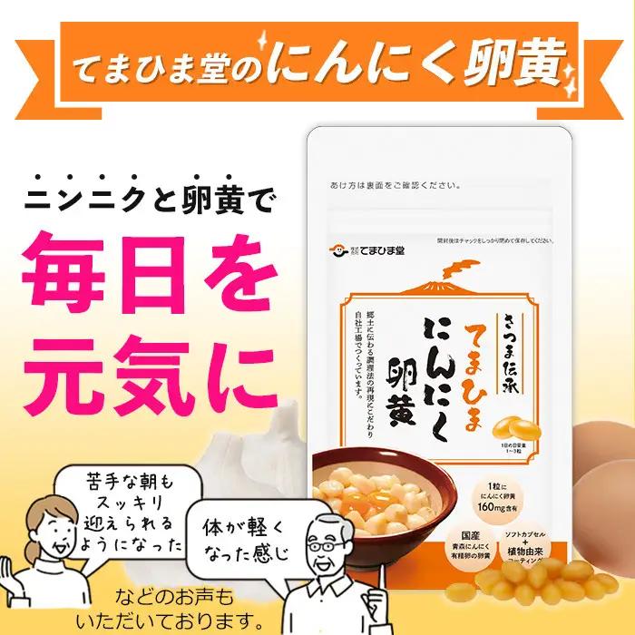 No.1298-B ＜定期便・全6回(隔月)＞活力セット(てまひま にんにく卵黄・ビタミンB群/各2袋×6回 計24袋) 鹿児島 日置市 ニンニク 健康食品 加工食品 栄養 元気 有精卵 カプセル 手