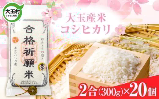 【令和7年産】 合格祈願米 コシヒカリ 真空米 2合 ( 300g )× 20個 受験 御利益 合格 ご祈祷 願掛け【as-skgk20-R7】