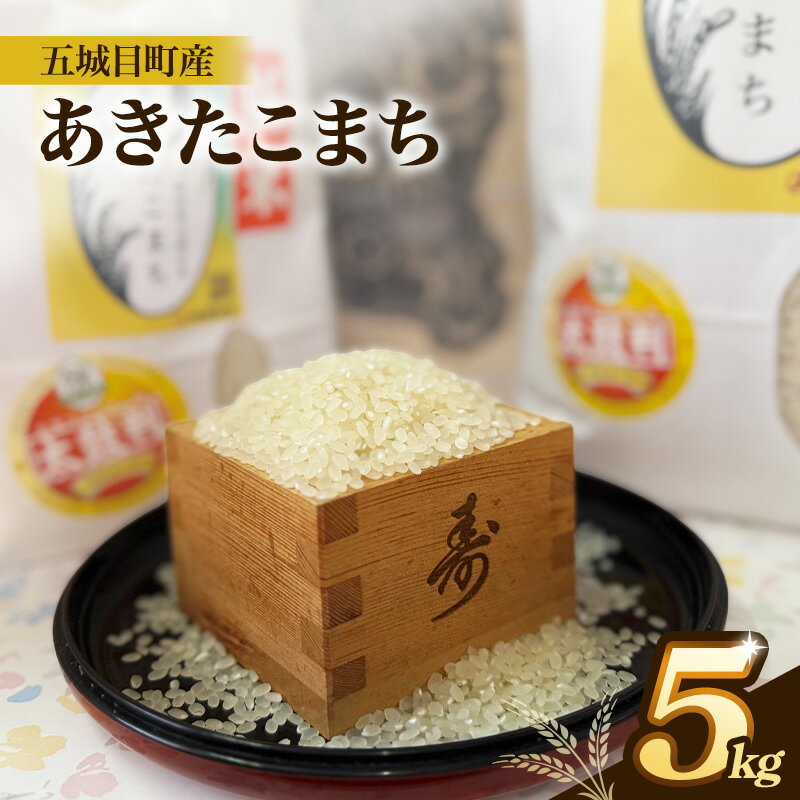 【ふるさと納税】五城目町産 あきたこまち 5kg