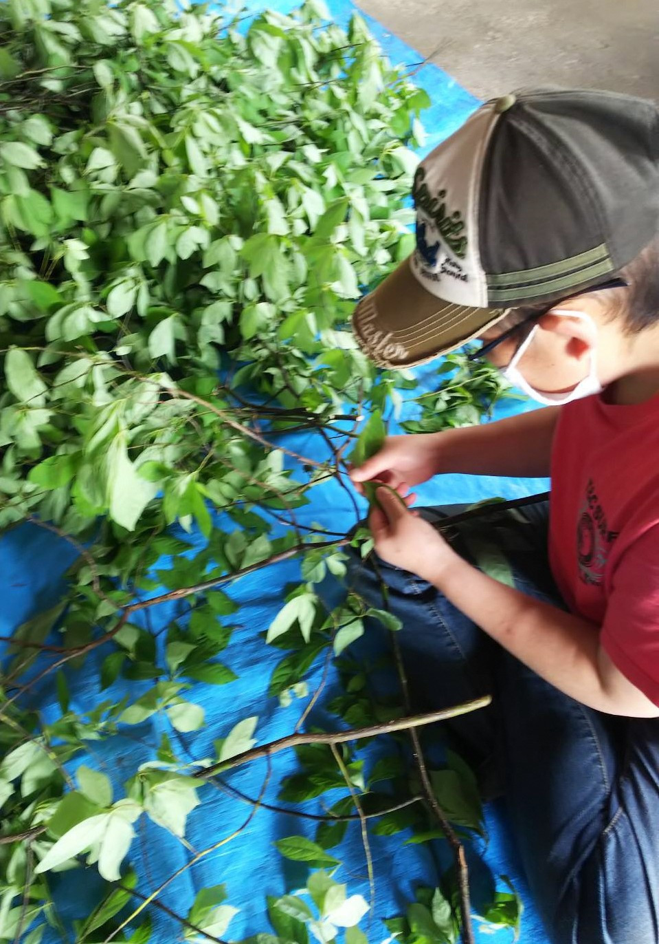 障害を持つ方々が丁寧に作業されています。