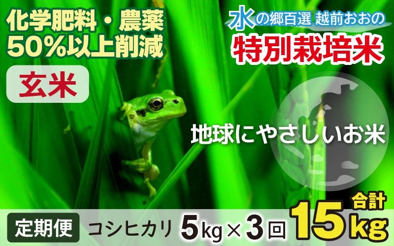 
                  【令和7年産】【3ヶ月定期便】こしひかり 5kg × 3回 計 15kg【玄米】減農薬・減化学肥料 「特別栽培米」－地球にやさしいお米－
                