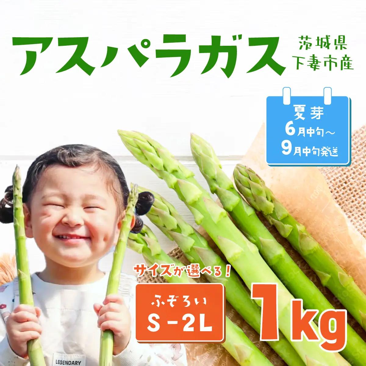 アスパラガス 1kg S～2Lサイズ ( ふぞろい ) 朝採り アスパラガス 夏芽【先行受付】【26年6月中旬～9月発送】
